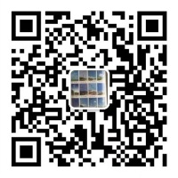 手機(jī)網(wǎng)站